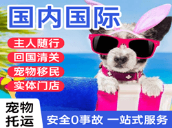 若羌楼兰机场托运国际宠物托运 【国